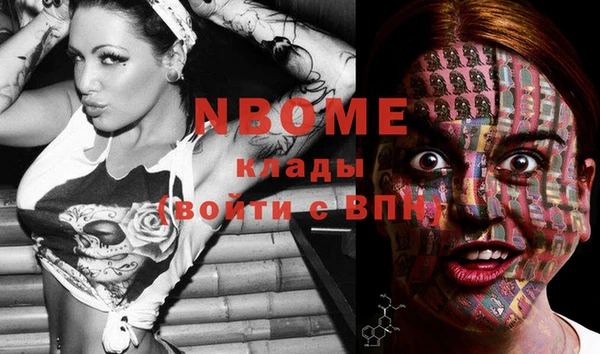 PSILOCYBIN Верея