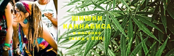 PSILOCYBIN Верея
