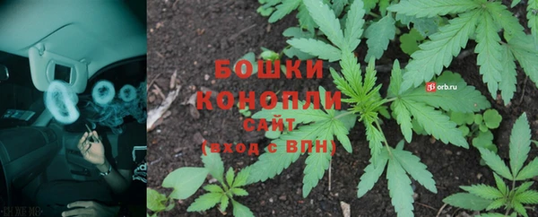 PSILOCYBIN Верея